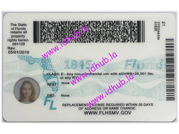 Florida - Image 2