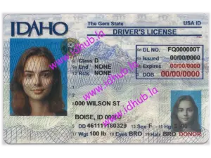 Idaho