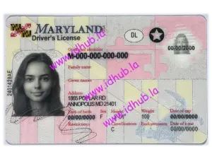 Maryland
