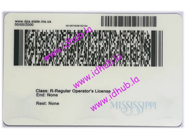 Mississippi - Image 2