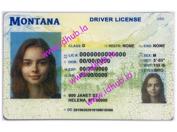 Montana