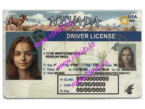 Nevada