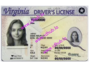 Virginia